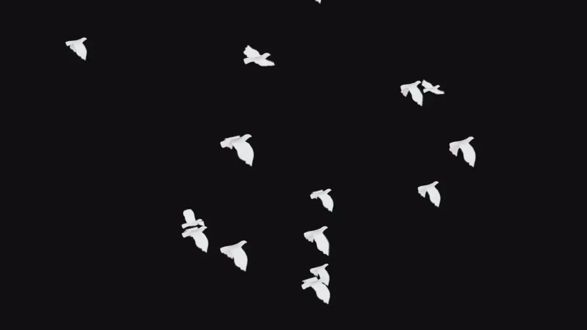 Flock White Bird Animated Swarm Dove Shoal Birds Seagull Low-poly 3D model
