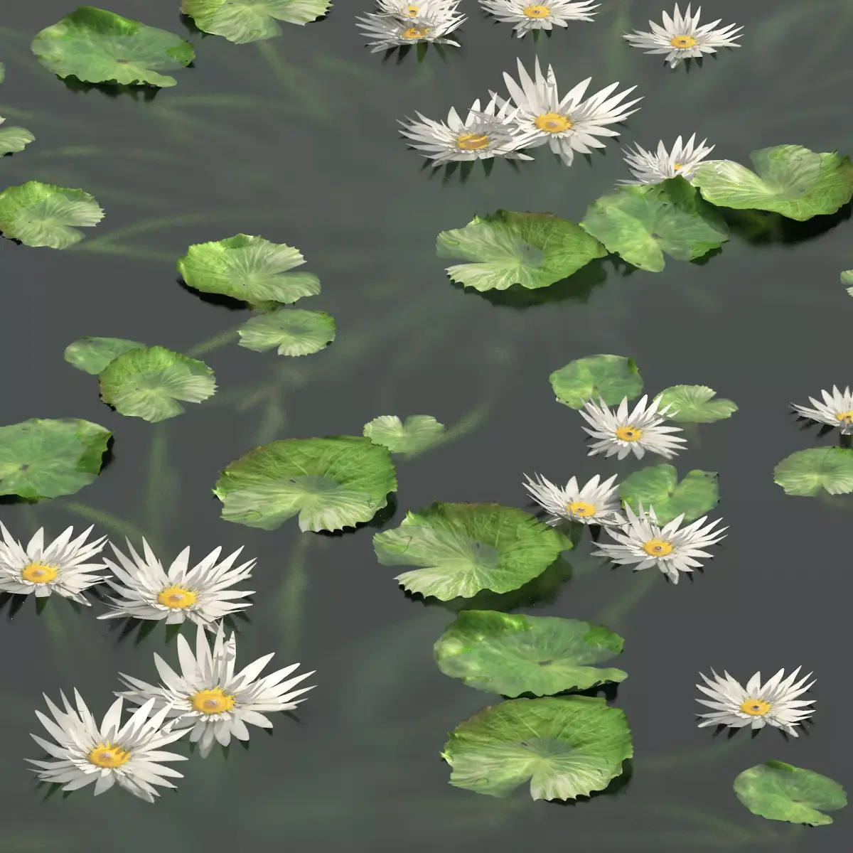 Water lily flower Low-poly 3D model