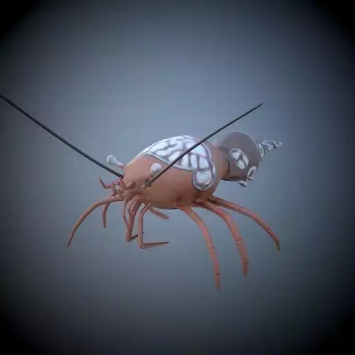 Shrimp 3D model buy