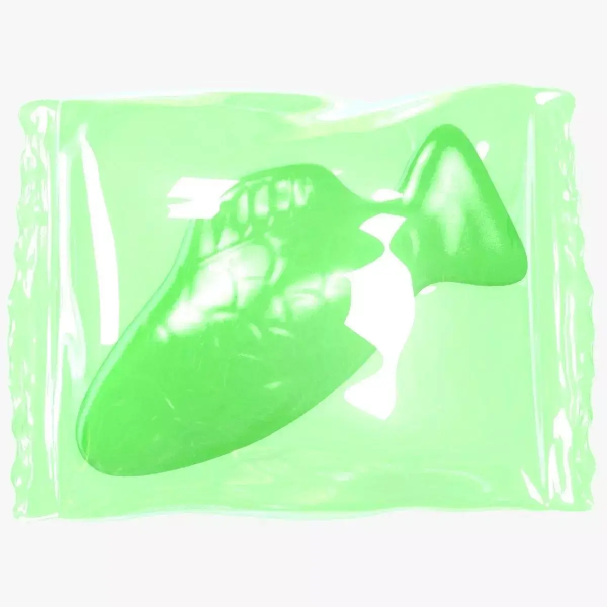 Wrapped Green Fish 3D model 3D model
