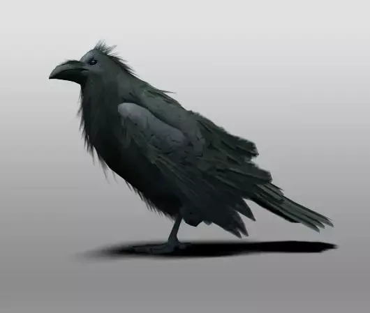 Raven 3D model