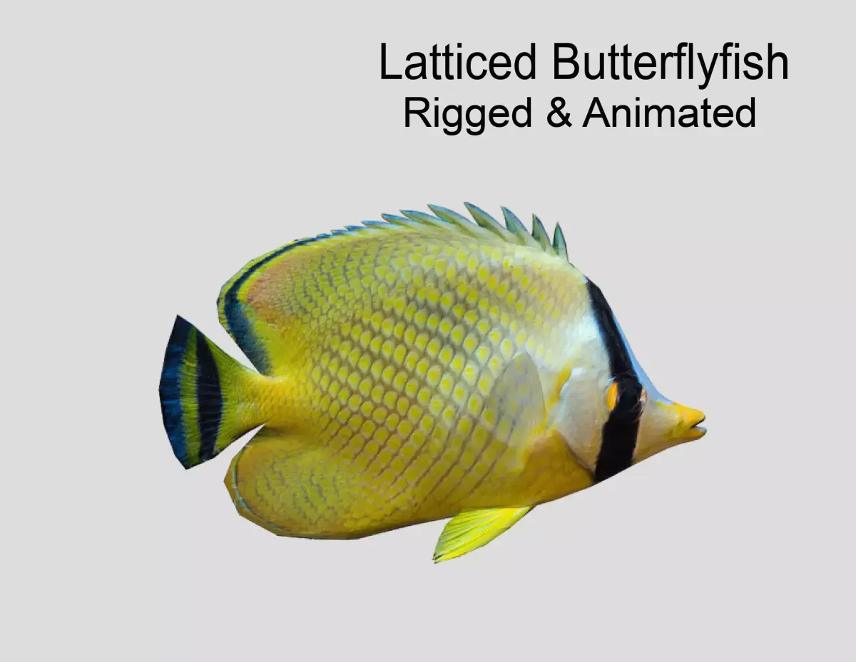 Latticed Butterflyfish Realistic Animated Low-poly 3D model