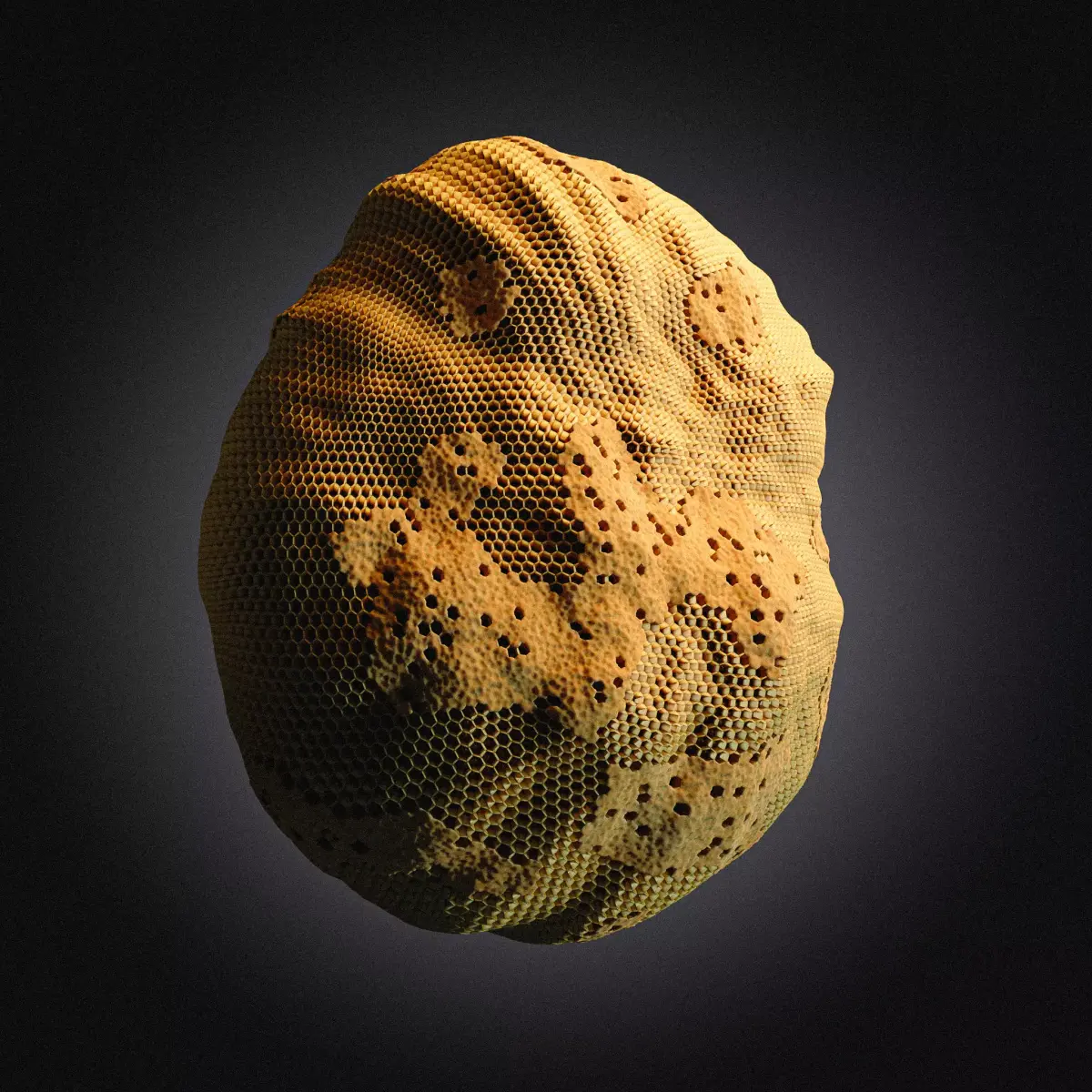 Procedural Beehive 3D model