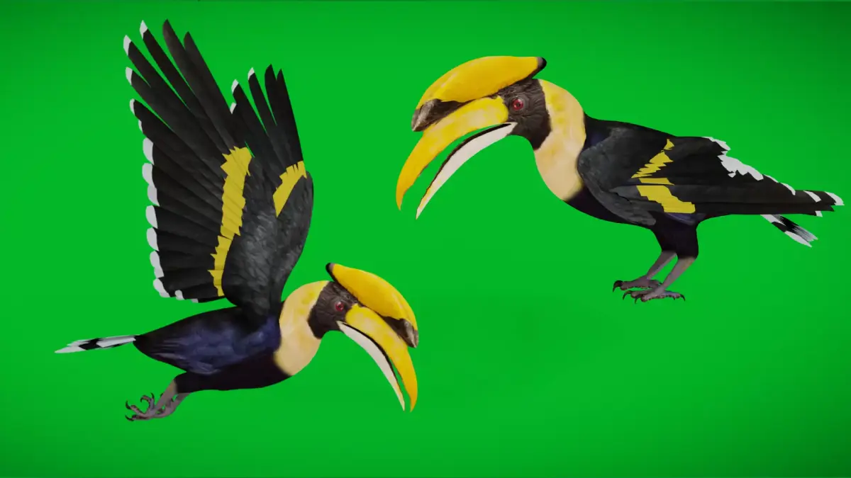 Great Hornbill Bird Low-poly 3D model