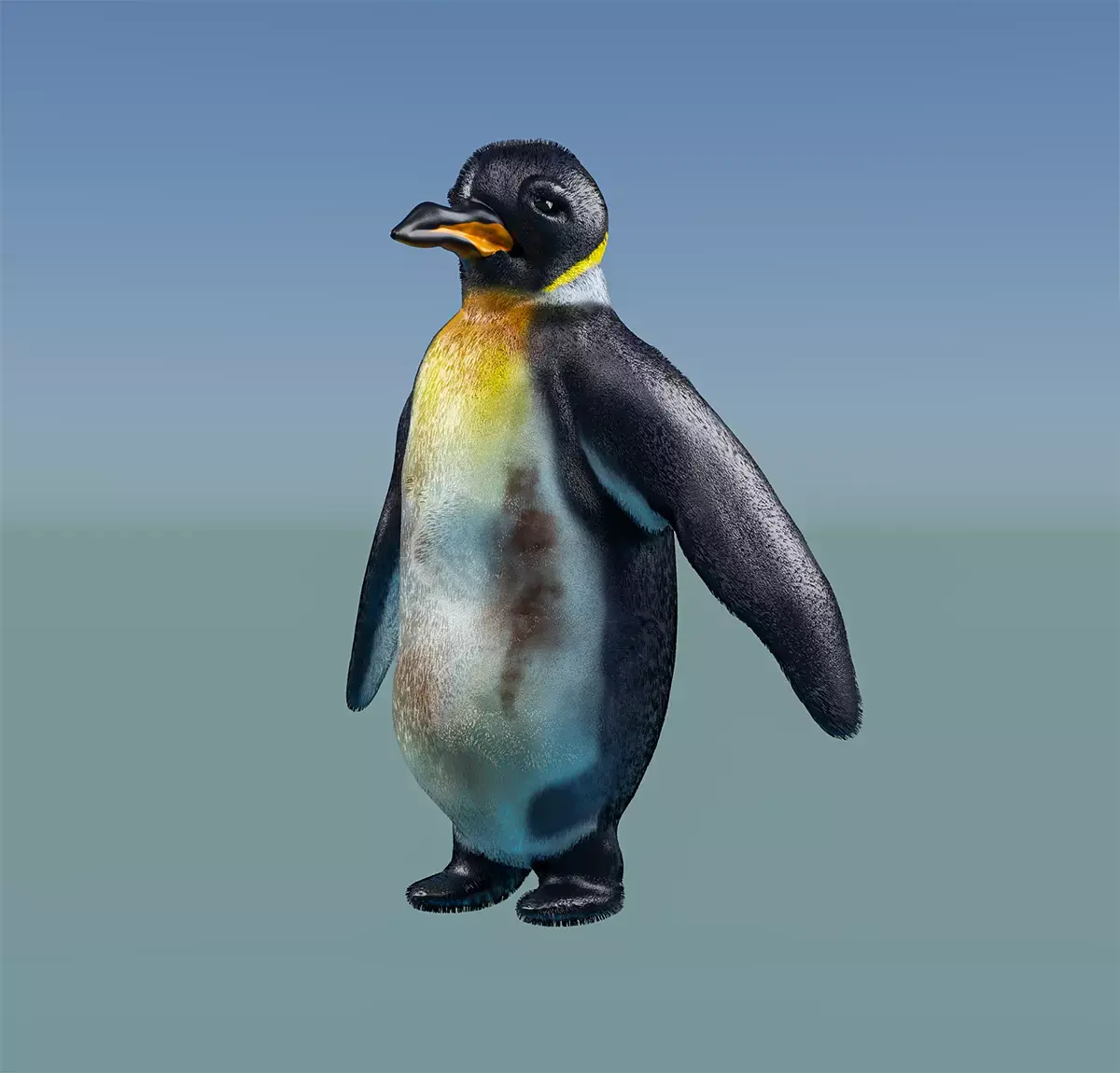 Emperor Penguin 3D model