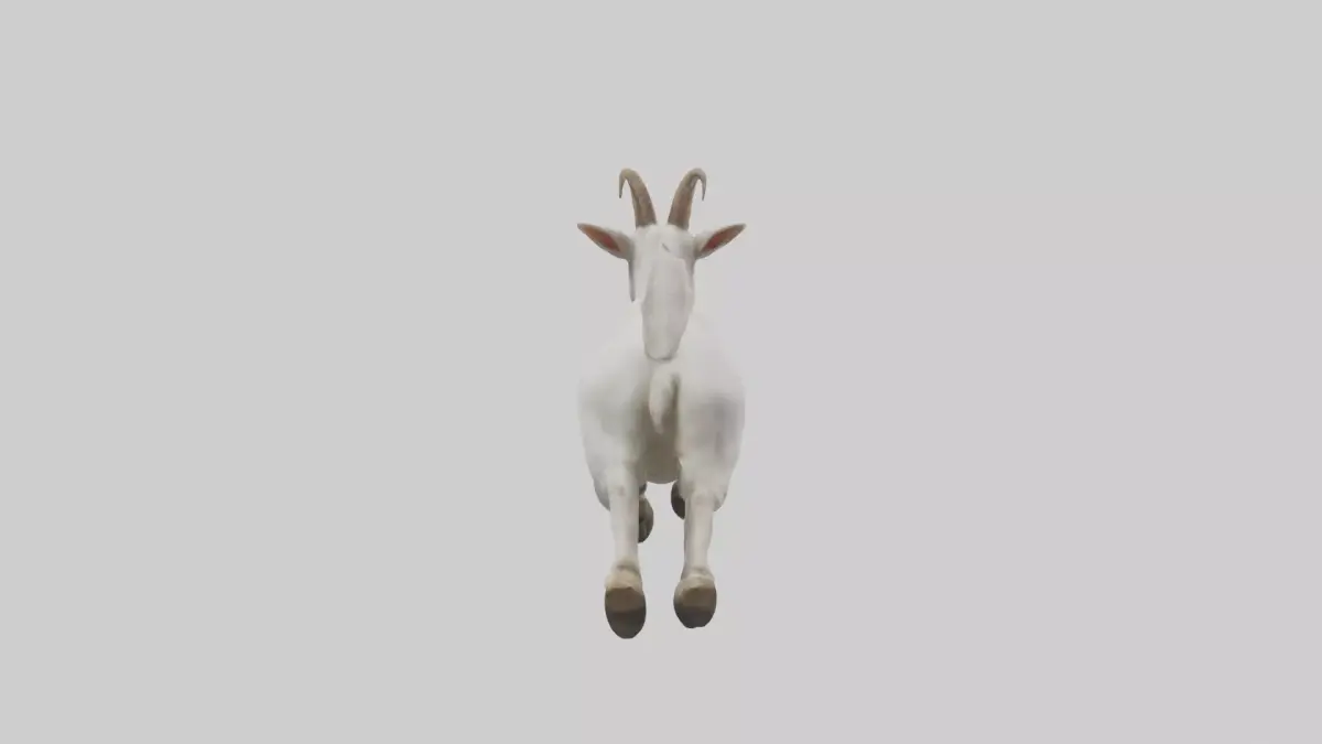 Goat hopping model Low-poly 3D model purchase