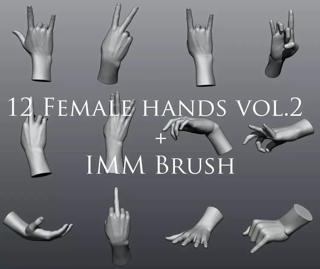 12 Female Hands vol2 3D model purchase