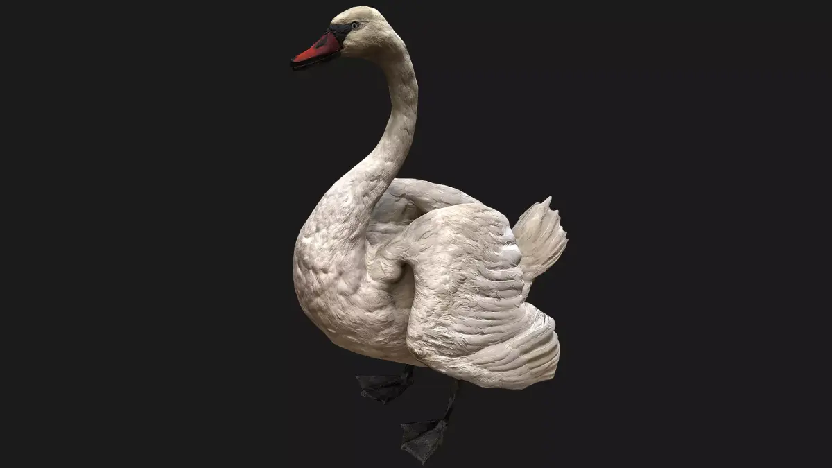 Swan Bird Low-poly 3D model purchase
