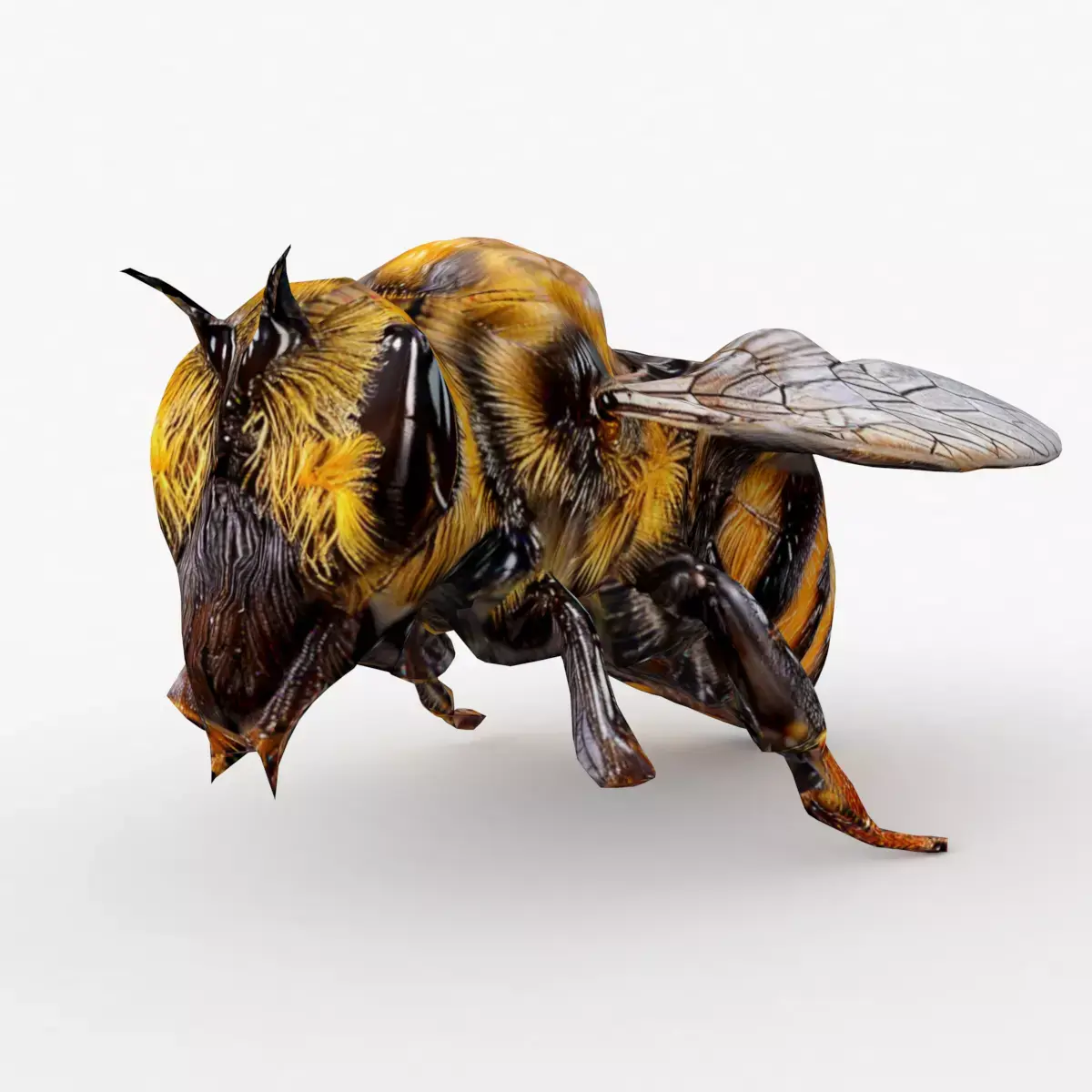 Bee Cartoon Low-poly 3D model