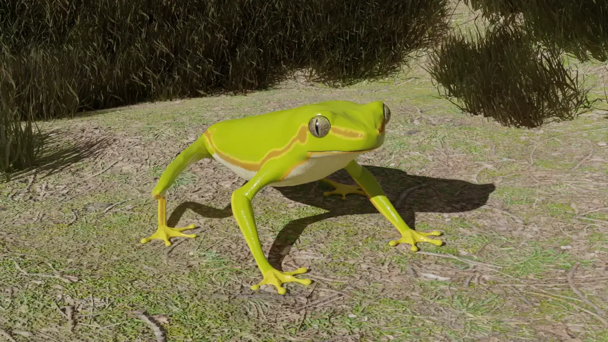 Tree frog Low-poly 3D model purchase