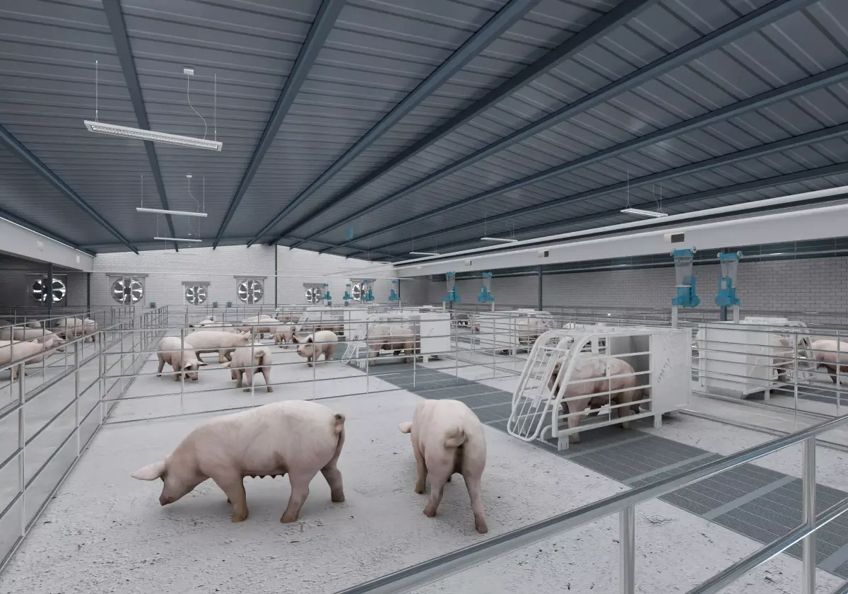 Pig farm Low-poly 3D model