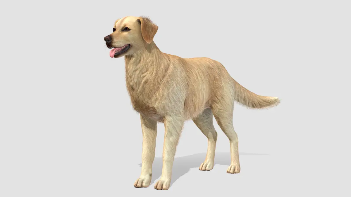 Dog - Golden Retriever 3D model