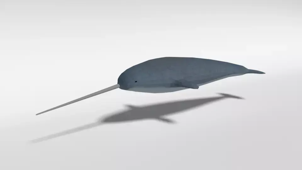 Low Poly Cartoon Narwhal Low-poly 3D model
