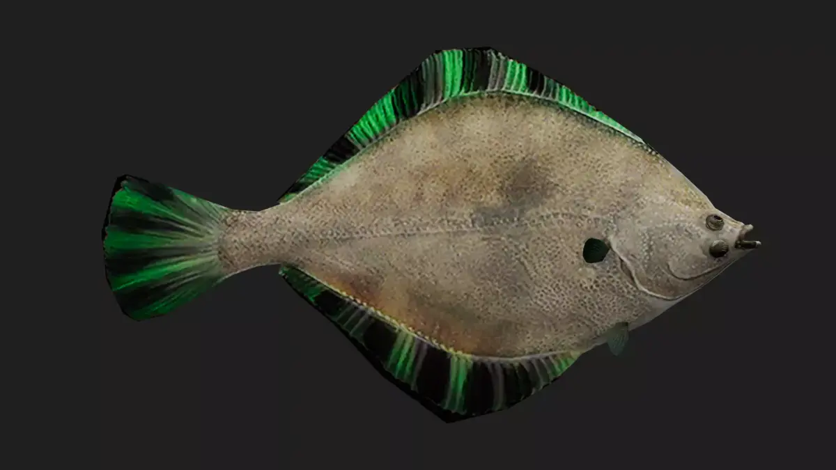 Flatfish Low-poly 3D model purchase