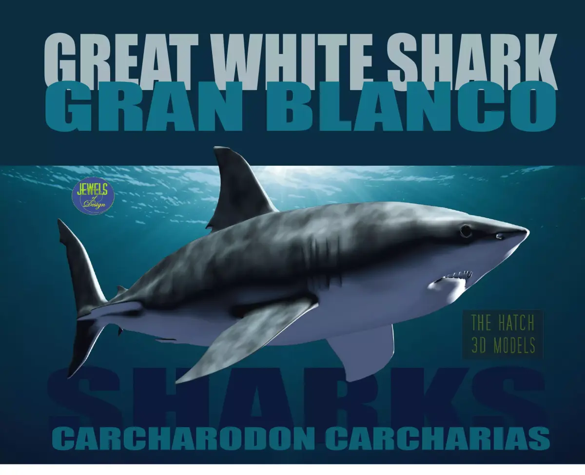 Great White 3D model