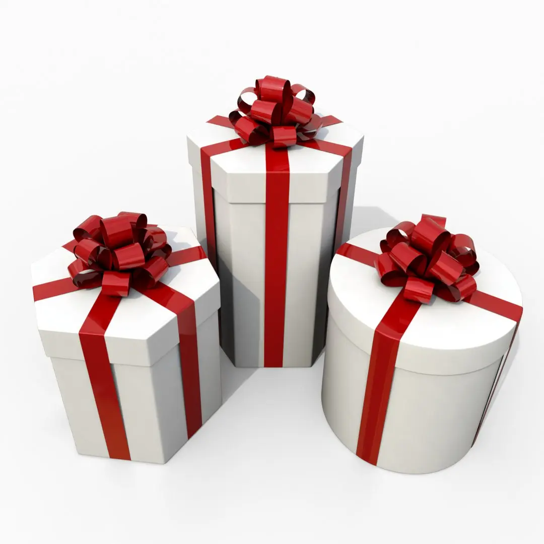 Gift Boxes - Round and Hexagon Trio with Tied Ribbon Rosette 3D model