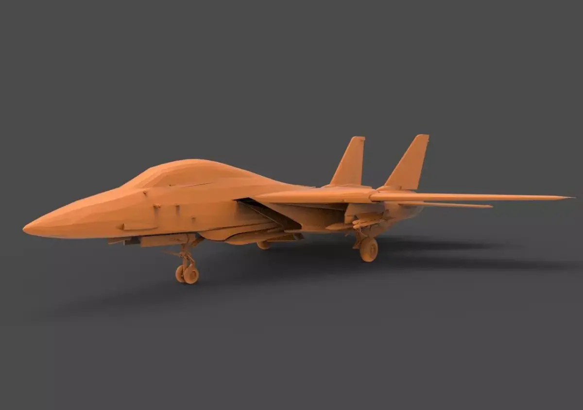 F-14 Tomcat 3D print model