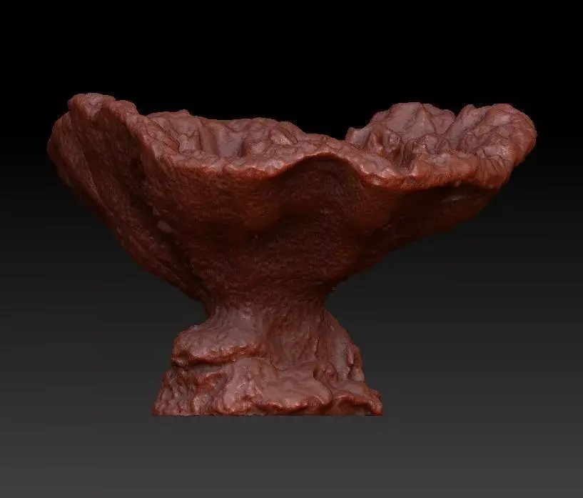 Sea Coral Scan 1 3D model