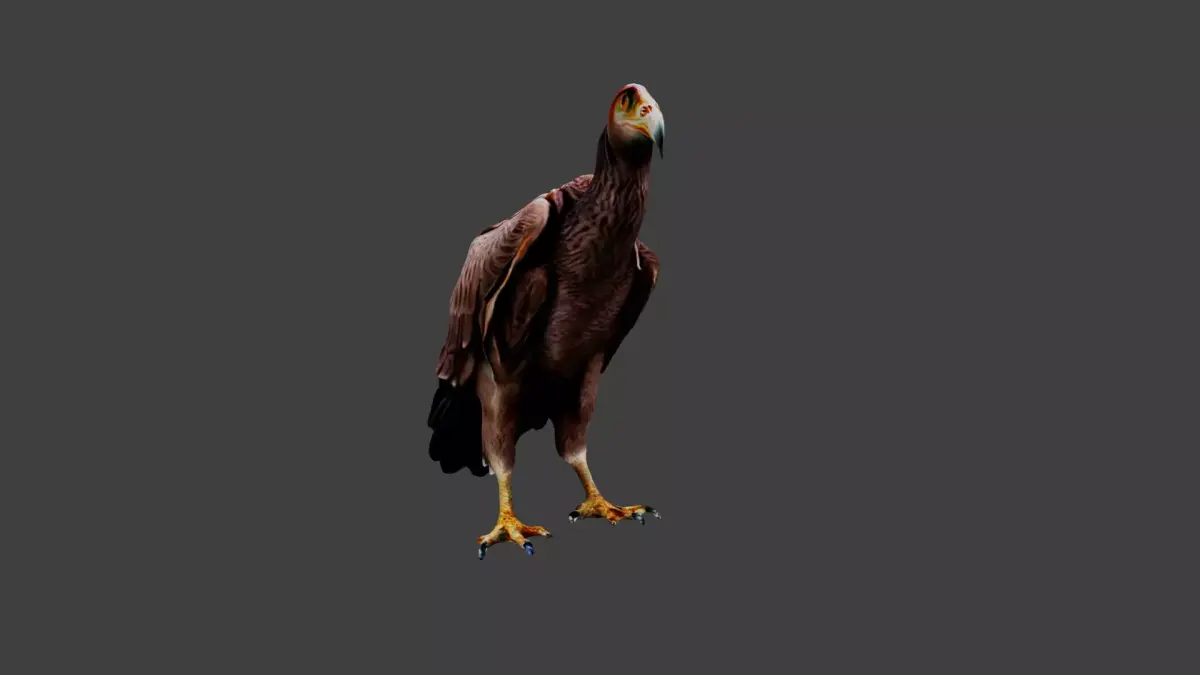 Vulture Low-poly 3D model purchase