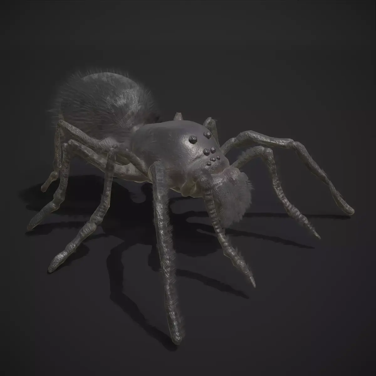 Black Spider Low-poly 3D model