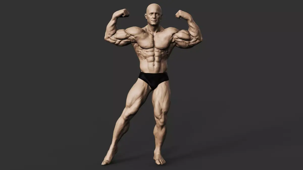 Bodybuilder 3D print model shop