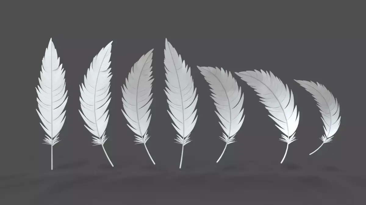 Feathers Set - 7 Assets 3D model