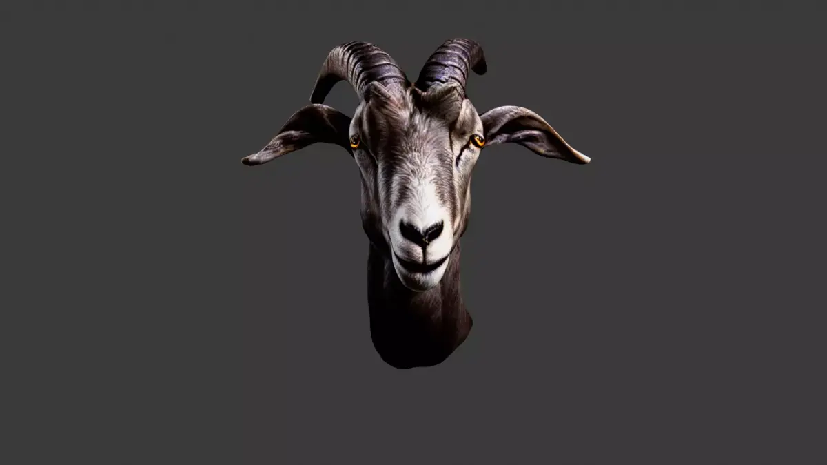 Deer Animal Head Low-poly 3D model 4