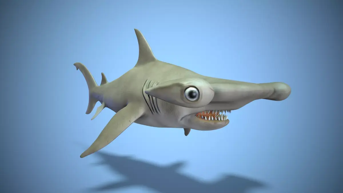 Hammerhead shark Low-poly 3D model 2