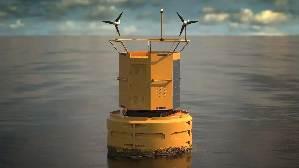 Sea Buoy v5 Low-poly 3D model