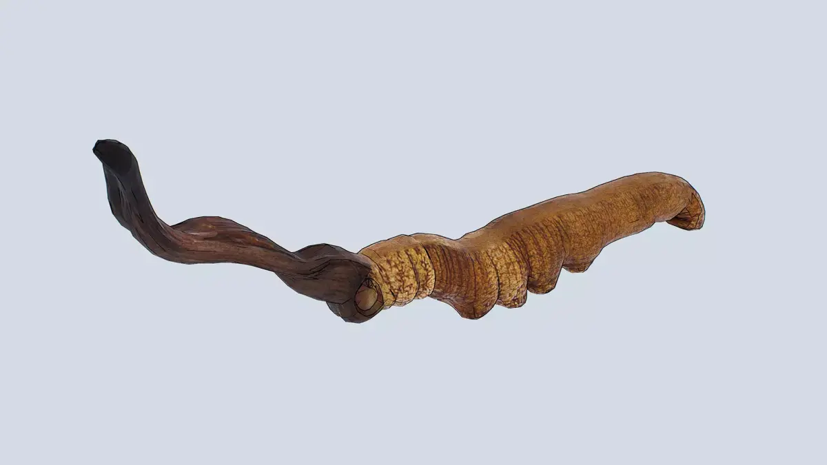 Cordyceps Low-poly 3D model
