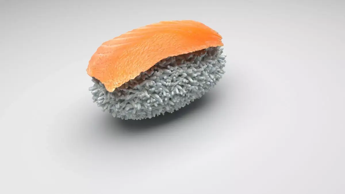 Shake Nigiri Salmon Sushi 3D model