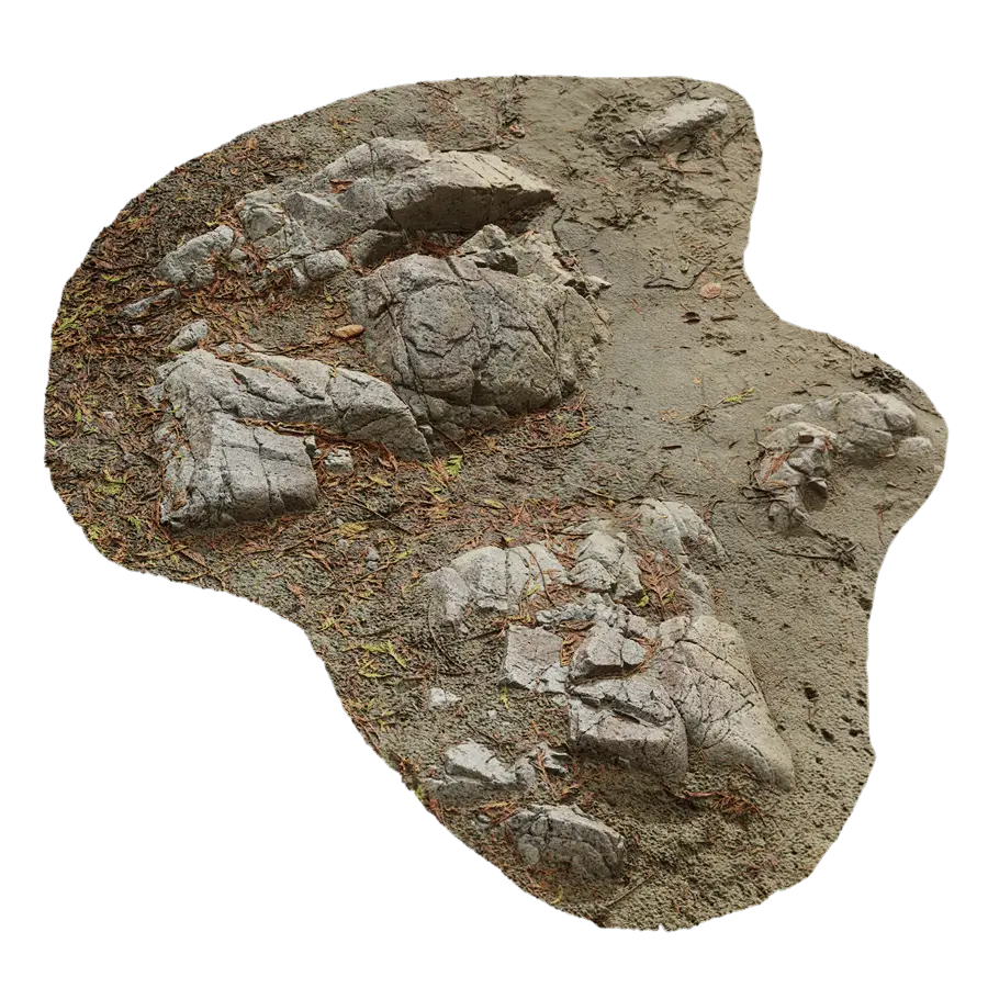  Medium Low Cracked Beach Rock Model  purchase
