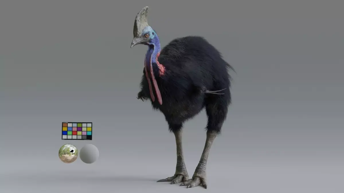 cassowary ostrich Low-poly 3D model