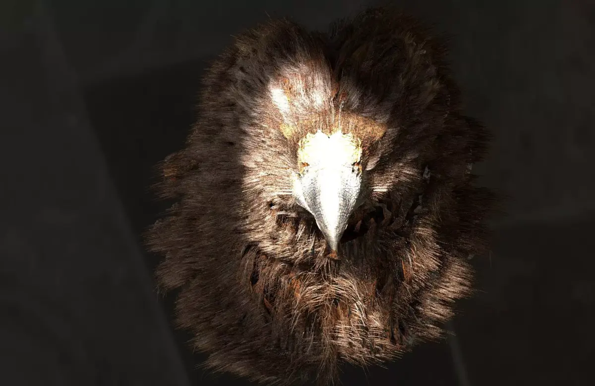 Giant Eagle 3D model