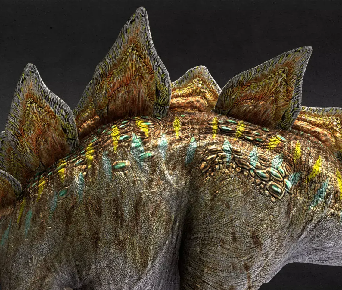  Stegosaurus Low-poly 3D model