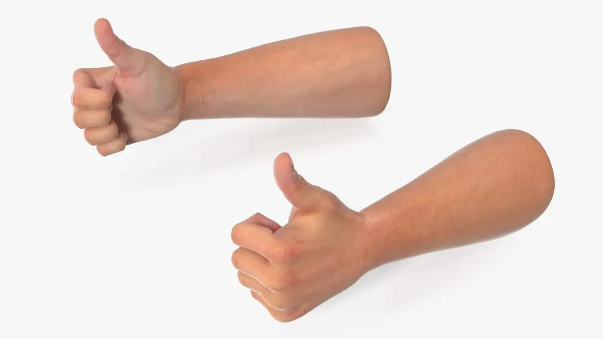 Realistic Hand Models of White Man Thumbs Up 3D model
