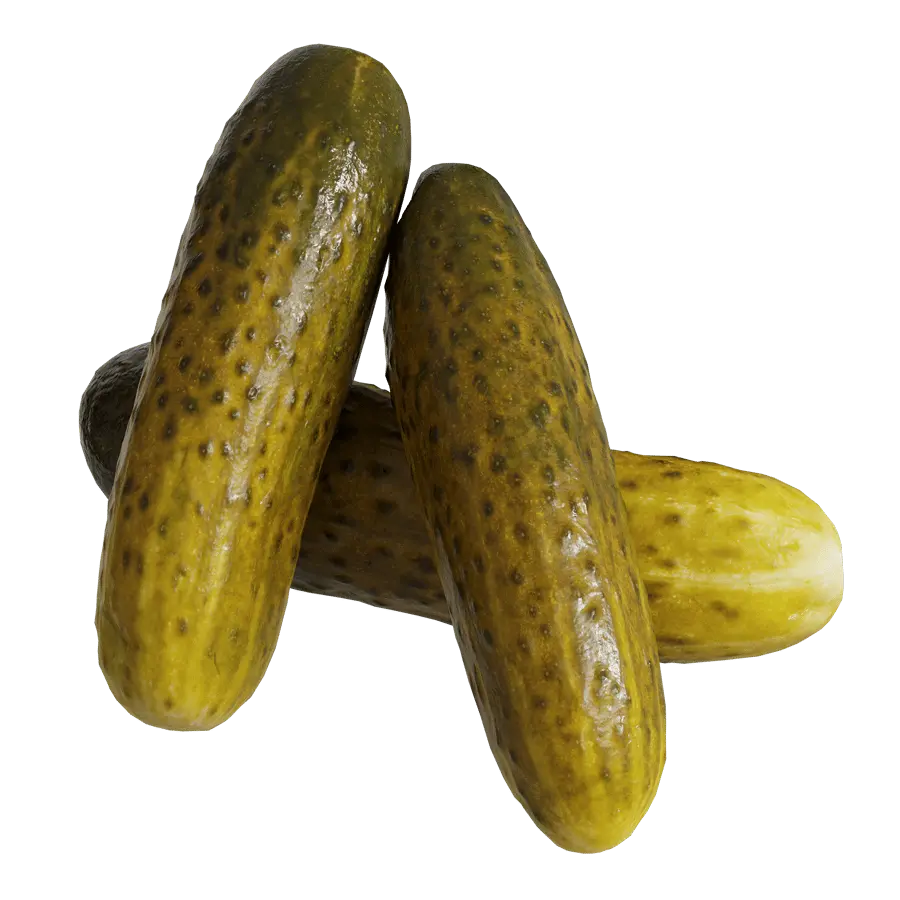  Pickle Models  purchase
