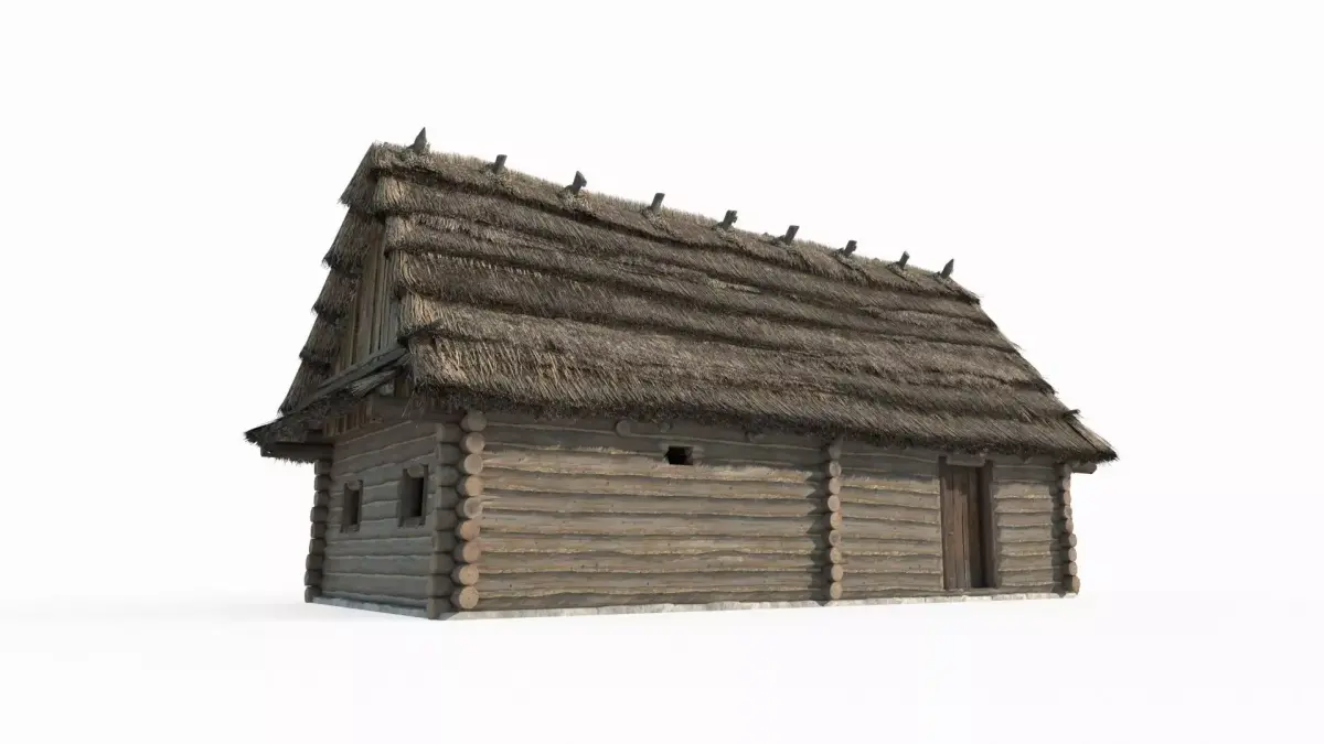 Medieval architecture thatched cottages and wooden houses 3D model