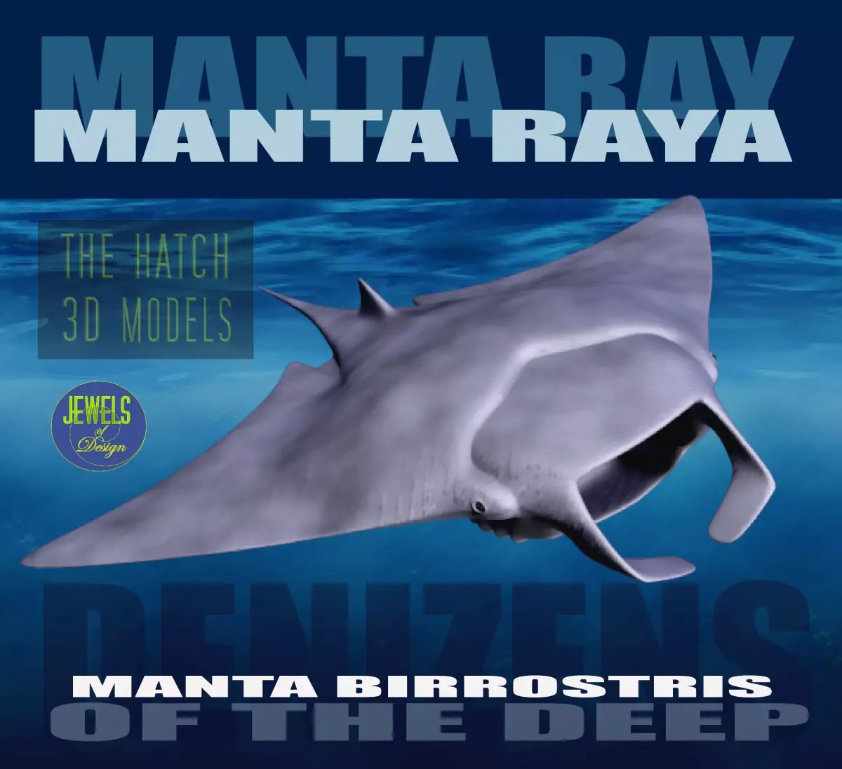 Manta Ray 3D model buy