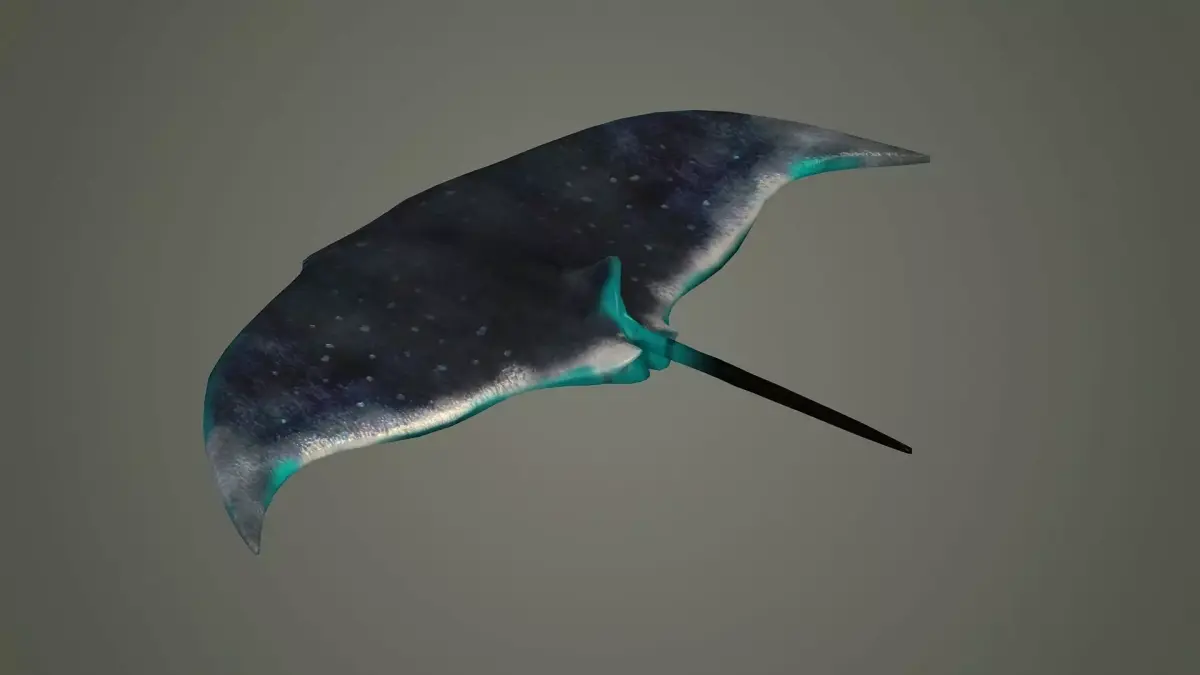 mantaray manta ray mantas devil fish shark giant reef  3D model