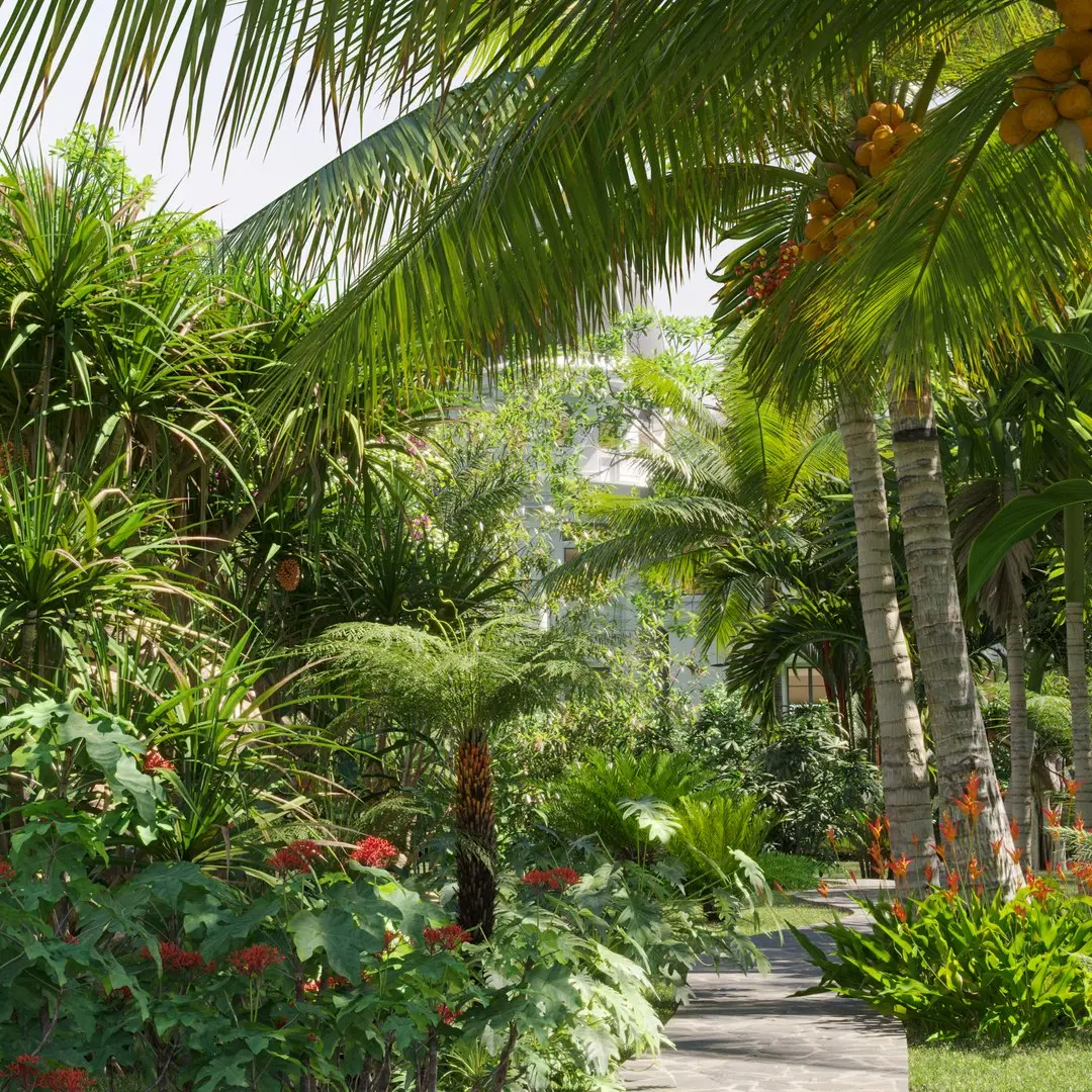Collection 27 - Tropical garden 3D model