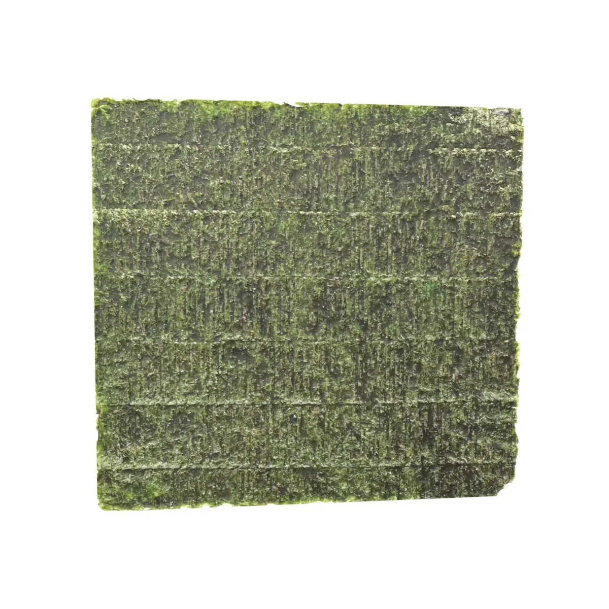 Nori v1 001 Low-poly 3D model