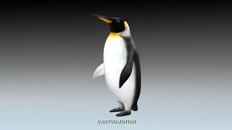 Emperor penguin Low-poly 3D model buy