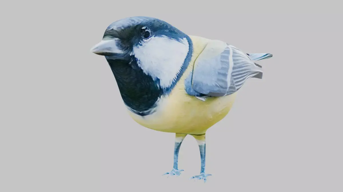 Titmouse 3D model