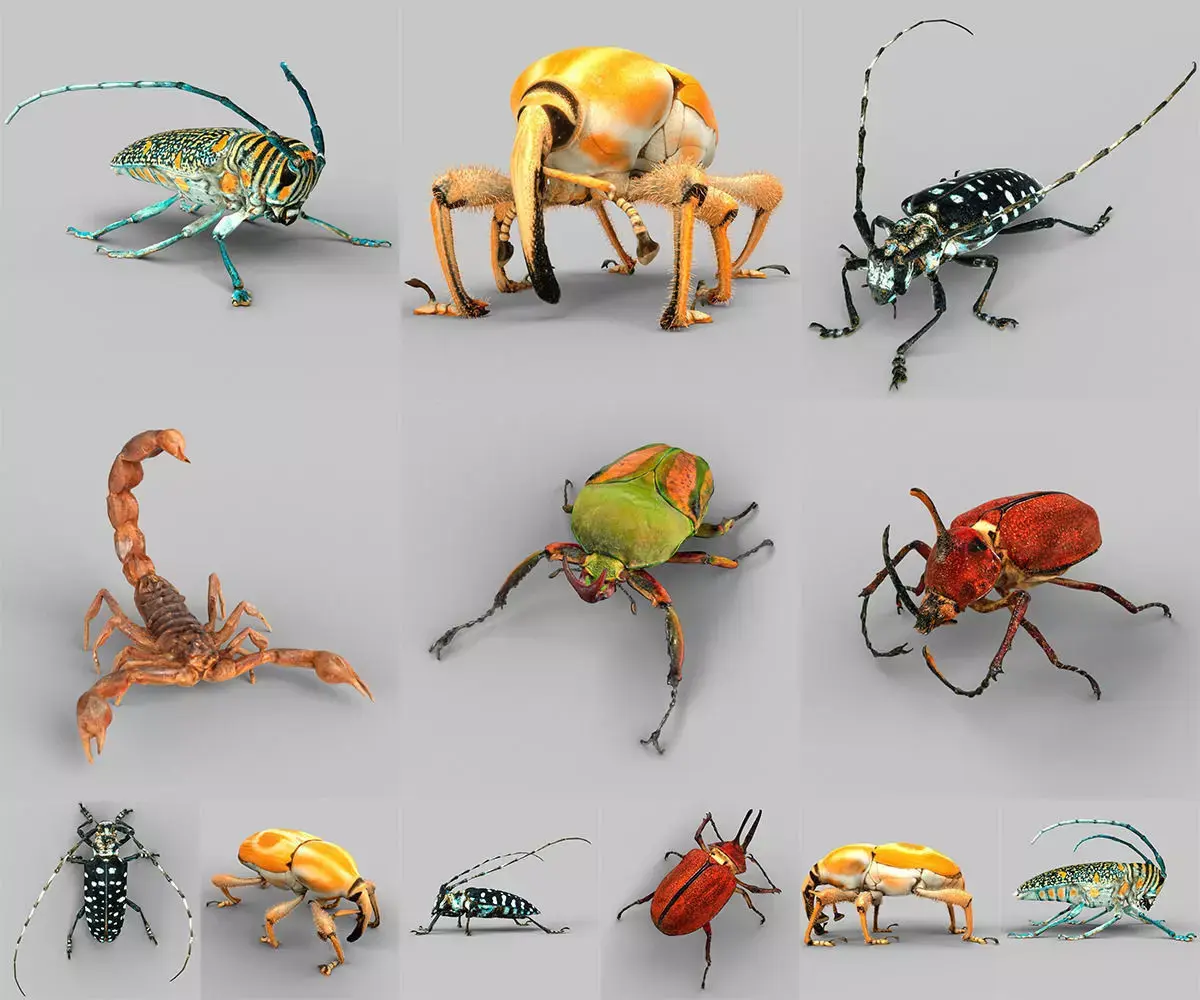 Insect Collection Vol 2 Low-poly 3D model