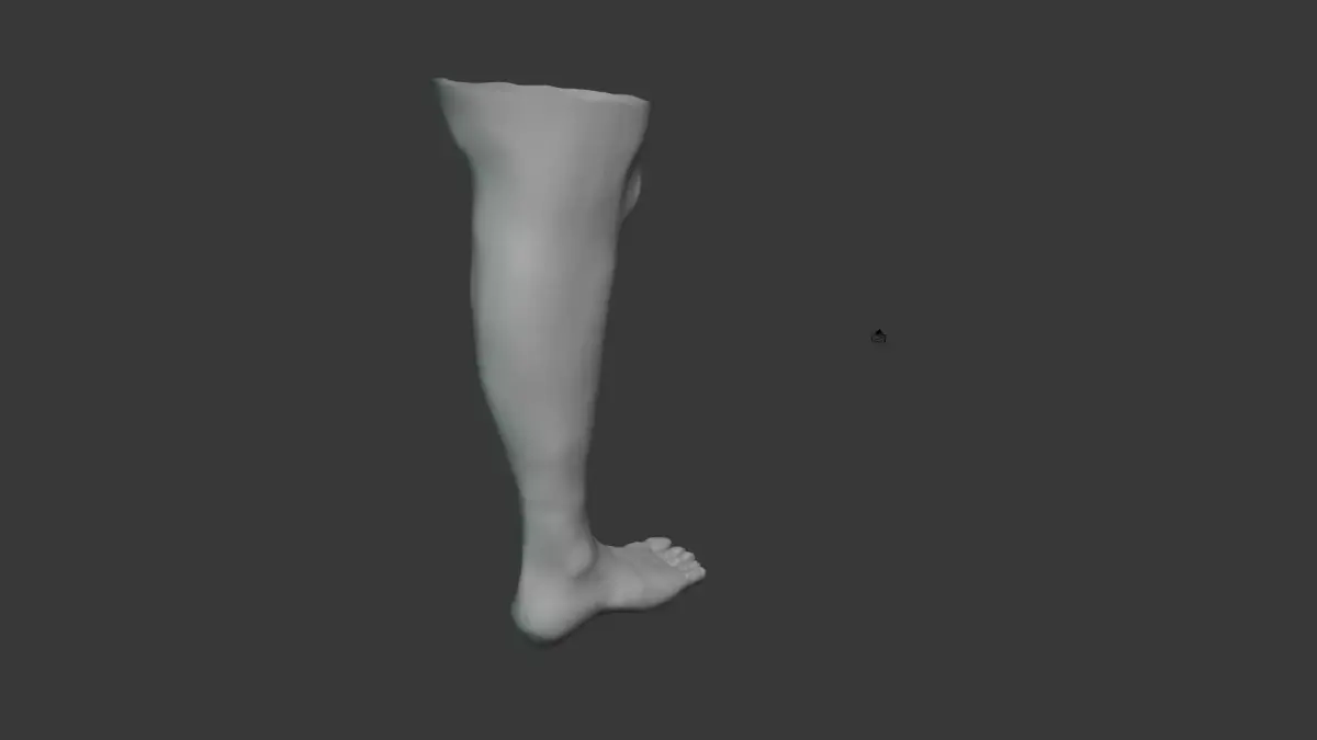Leg Model No Textures 3D model purchase