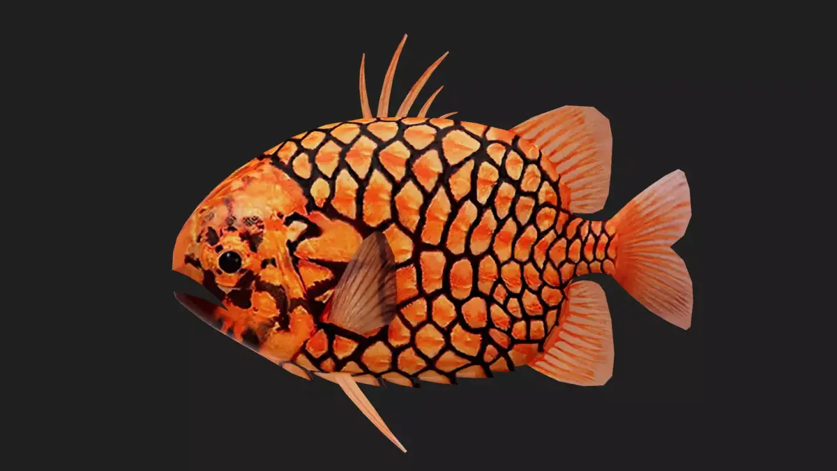Snapper Low-poly 3D model 11