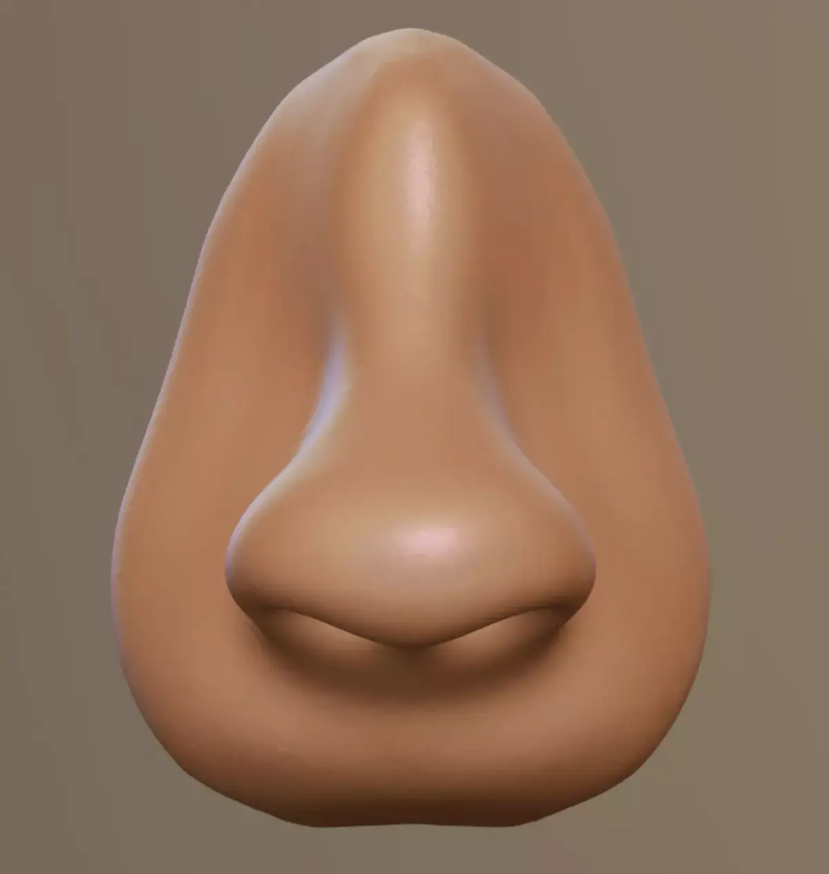 Matcap nose part 3D model