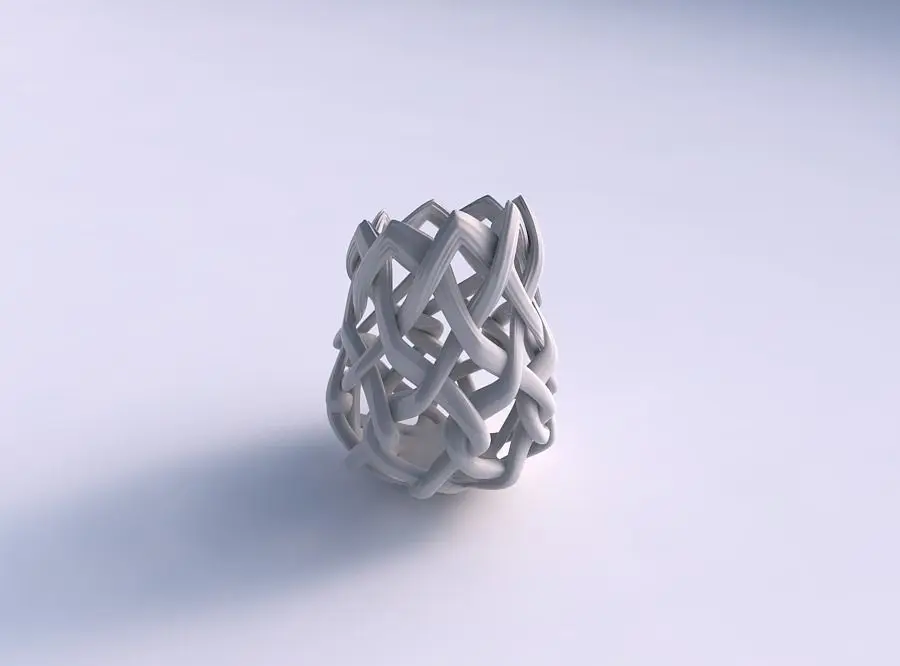 Vase wide on top part with interlacing lattice and extruded l... 3D print model order