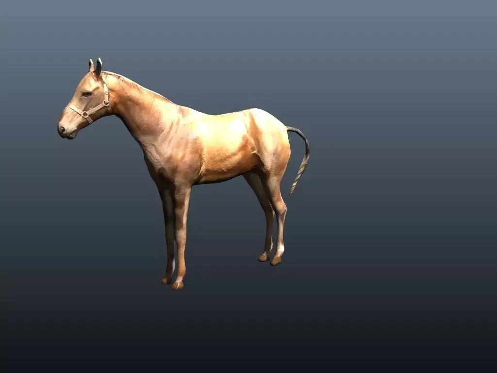 horse 3D model 8